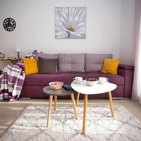 Apartment Sweet Daisy With Parking Zadar Exteriér fotografie
